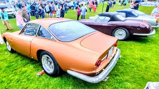 The Amelia Concours 2024 by Drivin Ivan [upl. by Dannica]