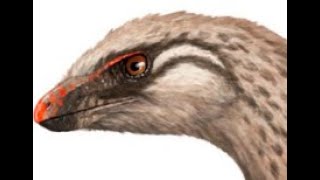 Lesothosaurus Fleet footed Ornithischian from Early Jurassic Southern Africa [upl. by Lamp]