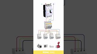 How MCCB Functions as a Main Switch for Multiple MCBs and Circuits [upl. by Agnimod]