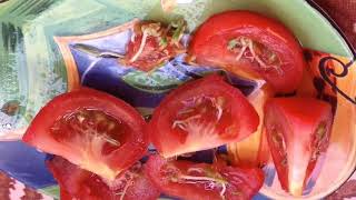 GMO TOMATOES AUSTRALIA SELF SPOUTING INSIDE GERMINATION VIVIPARY ПОМИДОРЫ ПРОРОСЛИ ГМО АВСТРАЛИЯ [upl. by Rose]