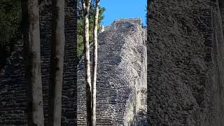 Coba Ruins Mexico [upl. by Nosrak]