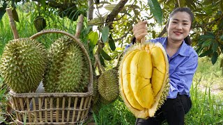 Durian fruit season  Have you ever harvested durian fruit and cooked   Countryside life TV [upl. by Ardnassak]