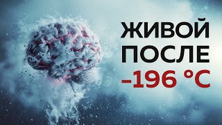 Заморозка и оживление мозга прорыв в нейробиологии  Пушка 76 [upl. by Derdle570]