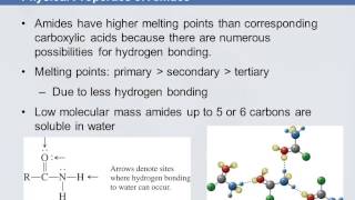 3B 616 Physical Properties of Amides [upl. by Lincoln]