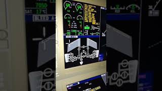 Bombardier GLOBAL EXPRESS 6000 power up [upl. by Avrit]