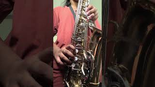 Tujh Mein Rab dikhta  Sax cover by Amelia fy saxophone saxcover hindi hindisong music sax [upl. by Mcgruter]