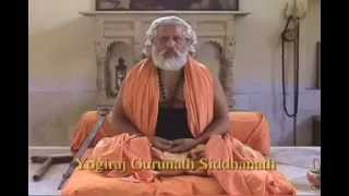 Siddhanath Surya Yoga  Solar Yoga Meditation Cures Disease [upl. by Llehcim334]