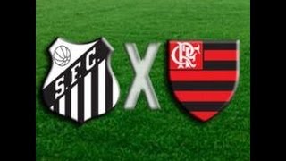 Santos 0 x 0 Flamengo  Brasileirão 2013  Jogo Completo [upl. by Nynnahs976]