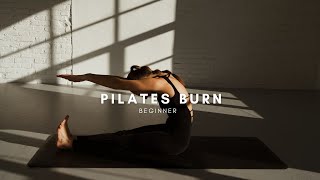 15 Minuten Pilates für Beginner  PILATES BURN [upl. by Anahsit]