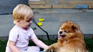 Baby Milas Fun Playtime w Lucky the Dog  Cute PUPPY Video [upl. by Krystal]