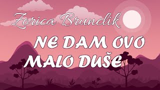 Zorica Brunclik  Ne dam ovo malo duše OFFICIAL LYRIC VIDEO [upl. by Eliades]