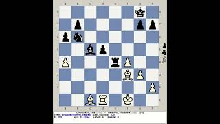 Chelushkina Irina vs Stefanova Antoaneta  Belgrade Chess 1995 Yugoslavia [upl. by Anaoj]