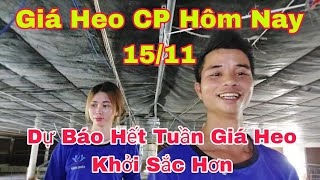 Công Tác Sắp Xếp Ghép Đàn Trong Trang Trại 1400 Connongtraihoakieu [upl. by Tengdin]