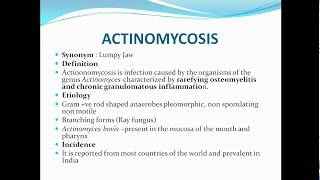 Actinomycosislumpy jaw [upl. by Eahsal]