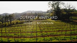 Outpost vineyard on the higher slopes of Howell Mountain in Napa Valley [upl. by Macmullin]