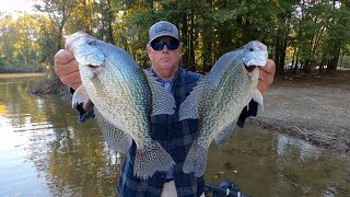 Whats the SECRET to Catching Crappie in Fall 2024 [upl. by Ibloc185]