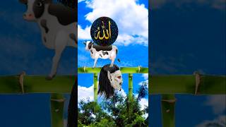 VFX Islamic video 🕋 islamicvideo viral tirending foryou CapCutDownload MP4 1 [upl. by Garett]