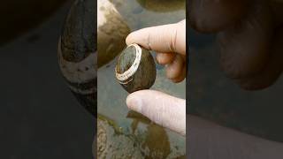 Jaspis Stone Unlocking its Secrets amp Spiritual Significance shorts viralshorts shortvideo [upl. by Anayit]