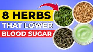 8 Herbs That Lower Blood Sugar [upl. by Eelra926]