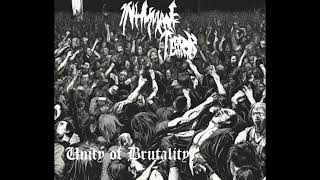 Inhumane Terror  Unity of brutality  THRASH METAL 2024 [upl. by Dagall548]