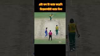 chak de india 2024 T20 world Cup final [upl. by Mervin]