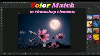 Color Match in Photoshop Elements [upl. by Attenyt]