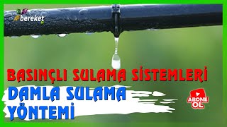 Benim Çiftliğim  Basınçlı Sulama Sistemleri  Damlama Sulama [upl. by Yanaj]