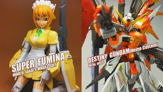 【評頭論足】BANDAI METAL BUILD DESTINY GUNDAM Heine Custom 海涅命運鋼彈模型GUNPLAampBANDAI HGBF SUPER FUMINA [upl. by Ennyroc563]