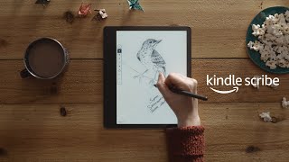 Kindle Scribe 2024 Which Digital Notepad Is Right for You [upl. by Reerg344]