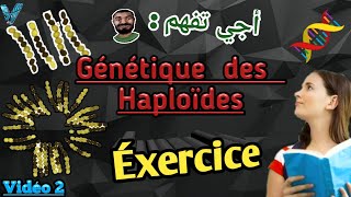 Vidéo 2 Génétique des Haploïdes en Arabe SVI S4 Exercice facile et important [upl. by Innus]