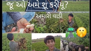 વાડીની મુલાકાત Full Vlog Krushil gadhvi vlog youtube vlogs [upl. by Ekrub590]