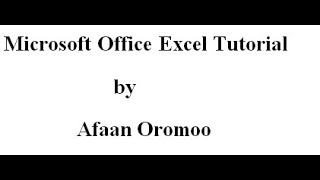 Microsoft Excel in Afaan Oromoo Part 1 Introduction to Microsoft Office Excel Tutorial RoberaTech [upl. by Lipman]