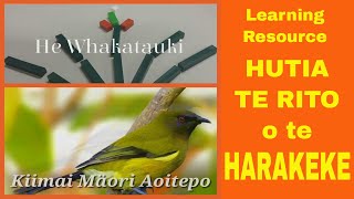 HUTIA TE RITO O TE HARAKEKE [upl. by Joseph258]