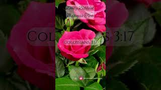 Colossians 3 v 17 Business Integrity [upl. by Lentha]