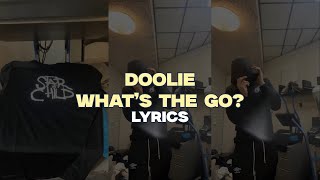 Doolie  Whats The Go Lyric Video [upl. by Eesak]