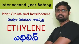 Ethylene Physiological Effects  ఎథిలిన్  Plant Growth and Development  Sr Botany [upl. by Namlaz]