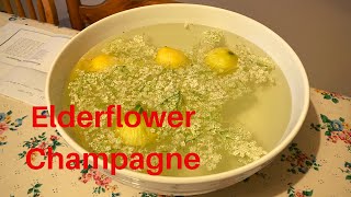 Making Elderflower Champagne [upl. by Aelem]