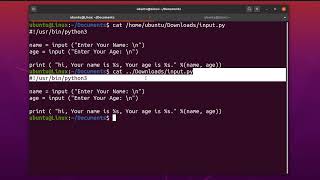 Linux Basics  stdin stdout and stderr  absolute and relative path  GetInfo [upl. by Gussi]