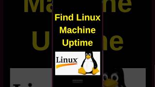 How to find the Linux uptime  Find the Linux machine boot time linux Linux shorts [upl. by Finn234]