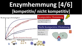 Enzymhemmung kompetitive Hemmung  nichtkompetitive Hemmung 46  Biologie Oberstufe [upl. by Ppilihp]