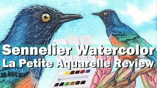 Sennelier La Petite Aquarelle Watercolor Review 12 Half Pan Set Swatch amp Bird Painting [upl. by Attey]