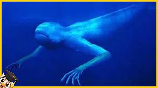 Top 10 Mysterieuze Onderwater Monsters [upl. by Kola199]