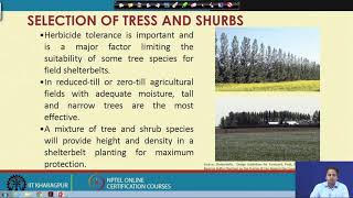 Lecture 50 Design of Shelterbelts [upl. by Kram]