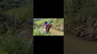 Mancing wader sensasijoranwader joran melengkung viral [upl. by Kate]