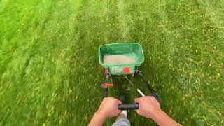 Adding phosphate with fall fertilizer [upl. by Nnylhtak]