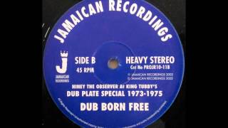 NINEY THE OBSERVER At KING TUBBYS  Dub Born Free [upl. by Essirehc]