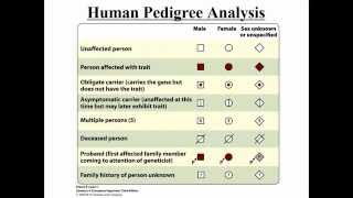 Pedigree Analysis [upl. by Zina]