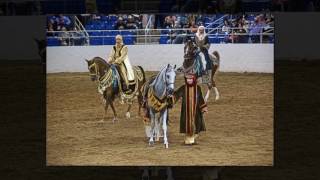 Scottsdale Arabian Horse Show Native Costumes 2017 [upl. by Cherian]