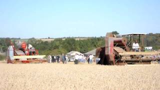 3 Massey Harris Combines working at Little Casterton [upl. by Roi]