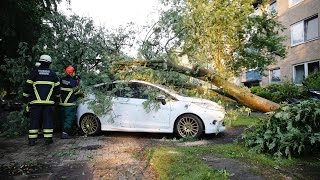 SturmChaos über Hamburg So schlimm war der Tornado wirklich [upl. by Einnep]